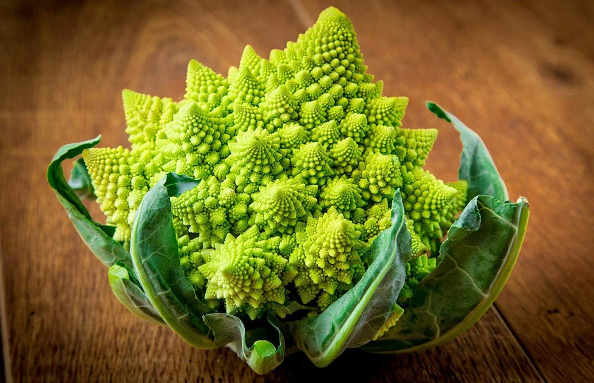 Broccoli Romanesco Seeds - 100 Count Heirloom Vegetable Brassica oleracea 'Romanesco' Unique Fractal Heads