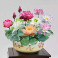 Mixed Color Lotus Flower Seeds - Nelumbo nucifera for Indoor & Outdoor Ponds, 15pcs