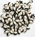 Calypso Bean Seeds - Heirloom Phaseolus vulgaris - Black and White Striped Soup Beans, Organic, Non-GMO, Bush-Type, Pack of 50 Seeds