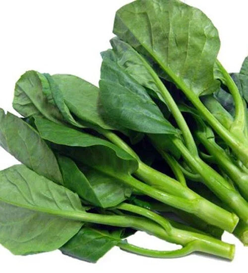 Chinese Kale Seeds - 100+ Brassica oleracea var. alboglabra Gai Lan Vegetable for Home Garden, Asian Cuisine, Non-GMO