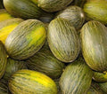 Piel De Sapo Melon Seeds – Non-GMO "Santa Claus" Variety, Cucumis melo, Rare Green Skin Melon Seeds, Juicy Fruit for Garden