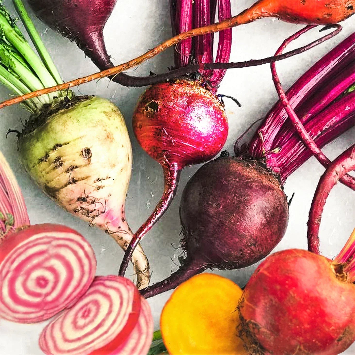 Rainbow Mix Beet Seeds - 5 Species Blend, Colorful Vegetable Garden, Beta vulgaris, Non-GMO, Easy to Grow, 200 Seeds