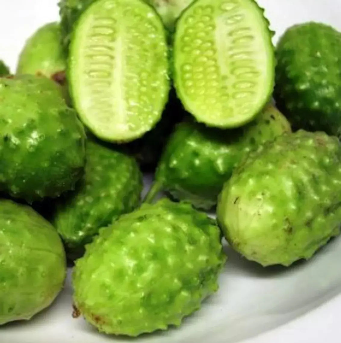 West Indian Gherkin Seeds - 100+ Burr Spike Cucumber Heirloom Seeds - Cucumis anguria - Compact Vining Vegetable for Pickling & Fresh Use