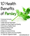 Forest Green Parsley Seeds - 500 Non-GMO Open Pollinated Petroselinum crispum for Culinary Use