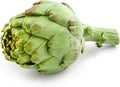 Globe Artichoke Seeds 30 Pack, Cynara scolymus, Exotic Vegetable, Heirloom, Perennial Garden Plant
