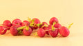 Lady Slipper Radish Seeds - 500+ Packets for Garden Planting, Raphanus sativus, Fast-Growing, Vibrant Pink & White Striped Radishes