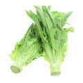 Chinese Leaf Lettuce Seeds - Sword Pointed Variety, Brassica rapa var. chinensis, Fast Growing, Non-GMO, 200+ Seeds for Gardens & Containers