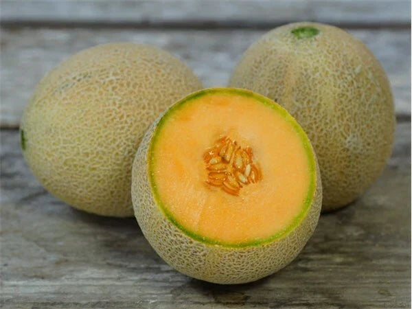 Jumbo Cantaloupe Seeds Pack of 50+ Non-GMO Cucumis melo for Home Garden, Sweet Muskmelon Fruit, USA Grown
