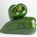 Poblano Pepper Seeds, Heirloom Non-GMO, Organic Vegetable Seeds, Capsicum annuum, Medium-sized, Versatile Peppers