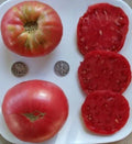 Heirloom Beefsteak Rose Seeds – Large Pink Tomato Variety – 25 Seeds for Gardeners – Solanum lycopersicum
