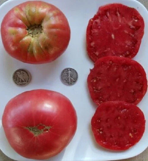 Heirloom Beefsteak Rose Seeds – Large Pink Tomato Variety – 25 Seeds for Gardeners – Solanum lycopersicum
