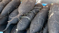 Long Black Spanish Radish Seeds - 500+ Count, Heirloom Raphanus sativus, Vegetable Seeds for Garden Planting