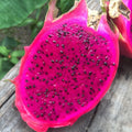 Red Dragon Fruit Seeds - 100 Pack, Pitaya Hylocereus Undatus, Climbing Cactus, Exotic Fruit Seeds for Home Garden