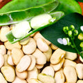 King of the Garden Lima Bean Seeds – Pole Variety, Large Green Pods, Phaseolus lunatus, Organic Non-GMO, Climbing Vine, 50 Seeds