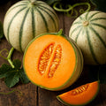 Charentais Melon Seeds - Heirloom Non-GMO Sweet Cantaloupe Cucumis melo, Pack of 50+ Seeds