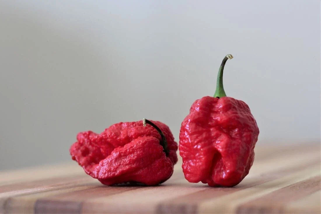 Super-Hot 7 Pot Red Brain Strain Pepper Seeds – Capsicum chinense, Hot Chili Seeds, Intense Heat, 15 Premium Seeds