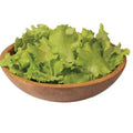 Black Seeded Simpson Lettuce Seeds - Non-GMO, Loose-Leaf, Lactuca sativa, Pack of 250+ for Home Garden, Salad Greens