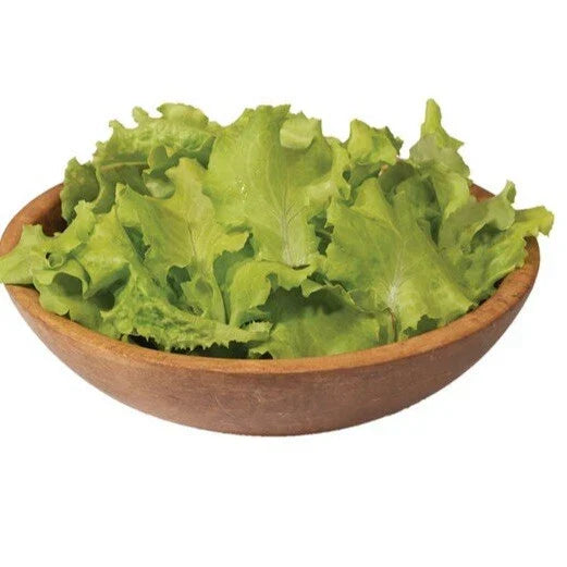 Black Seeded Simpson Lettuce Seeds - Non-GMO, Loose-Leaf, Lactuca sativa, Pack of 250+ for Home Garden, Salad Greens