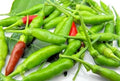 Thai Bird Pepper Seeds - 20 Count, Hot Capsicum annuum, Fiery Small Peppers for Cooking & Garden, Full Sun, Easy to Grow