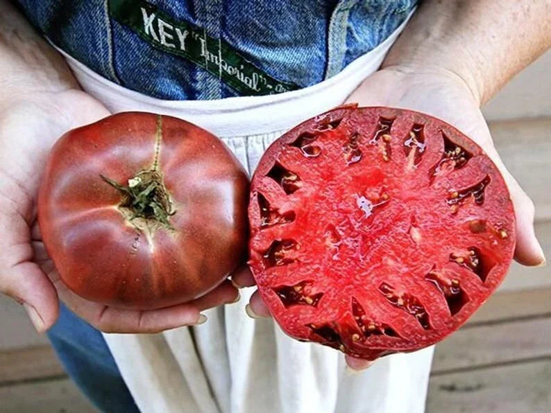 Cherokee Purple Tomato Seeds - Heirloom Non-GMO Organic Solanum lycopersicum, 60+ Seeds for Home Garden, Canning & Cooking