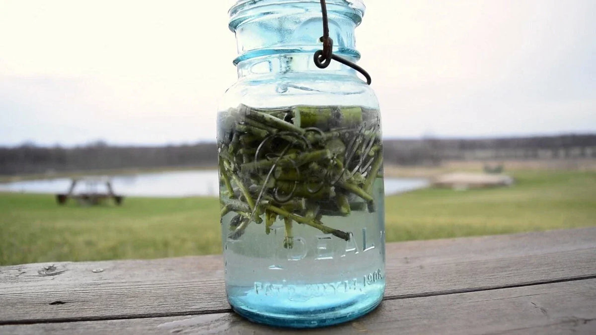Willow Water Rooting Hormone Liquid Solution for Plant Propagation - Salix spp. - 25+ Thin Cuts