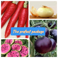 Vegetable Seed Package - Heirloom Non-GMO Seeds - Rare Organic Vegetable Collection - 10 Varieties for Home Gardening