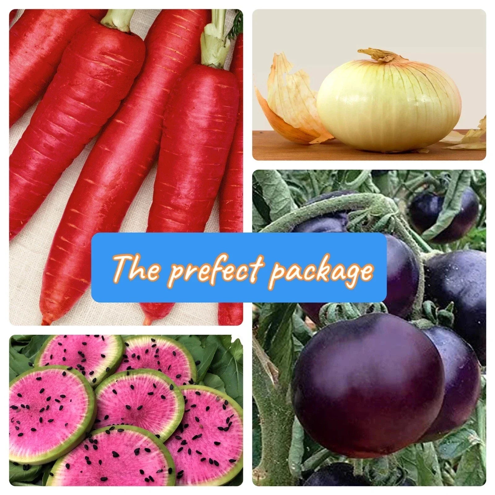 Vegetable Seed Package - Heirloom Non-GMO Seeds - Rare Organic Vegetable Collection - 10 Varieties for Home Gardening