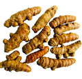 Turmeric Roots 10PCS Curcuma Longa for Cooking, Tea & Natural Remedies, Planting Bulbs for Garden & Pot Growth