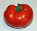 Tomato Seeds 100 Count Rutgers Heirloom Non-GMO Large Tomatoes Solanum lycopersicum Seed Packet