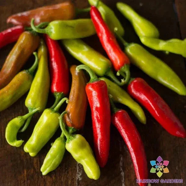 Italian Pepperoncini Seeds - 25+ Non-GMO Capsicum annuum for Garden, Container, Salad, and Sauce Cultivation
