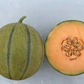 Melonade Cantaloupe Seeds for Planting, 10 Seeds, Sweet Flavor, Cucumis melo