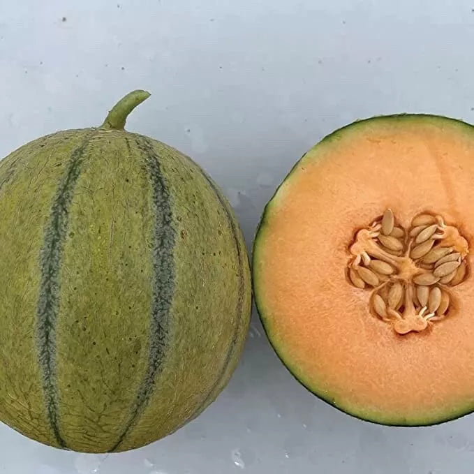 Melonade Cantaloupe Seeds for Planting, 10 Seeds, Sweet Flavor, Cucumis melo