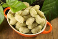 White Mulberry Tree Seeds - Morus Alba - Non-GMO Organic Seeds for Garden, Fruit, Shade, Full Sun