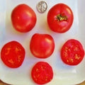Eva Purple Ball Tomato Seeds - Heat Resistant, 25+ Solanum lycopersicum, Bountiful Harvest, Home Gardening, Non-GMO