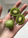 Issai Kiwiberry Seeds - 50 Pack, Hardy Perennial Vine, Arctic Grape Superfruit, Actinidia arguta, Fast Fruit Production