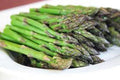 Asparagus Seeds 25 Heirloom Mary Washington Variety for Vegetable Gardening, Perennial, Asparagus officinalis