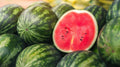 Picnic Watermelon Seeds - 50+ Pack Citrullus lanatus for Backyard Garden Planting, Non-GMO, USA Grown