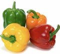 Rainbow Bell Pepper Seeds Mix - 15+ Varieties, Heirloom, Non-GMO, Organic, Capsicum annuum, Vegetable Seeds for Home Garden