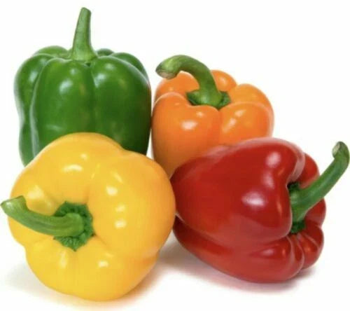 Rainbow Bell Pepper Seeds Mix - 15+ Varieties, Heirloom, Non-GMO, Organic, Capsicum annuum, Vegetable Seeds for Home Garden