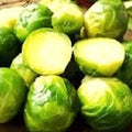 Long Island Brussels Sprouts Seeds - Non-GMO Heirloom Brassica oleracea var. gemmifera for Vegetable Garden