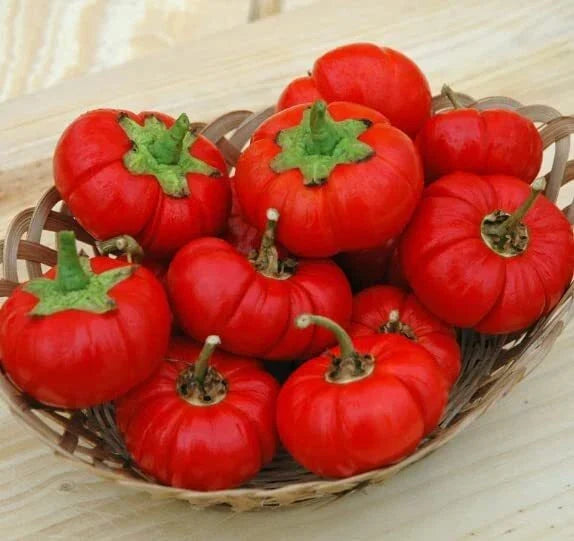 Pepper Pumpkin Seeds for Planting - 5 Rare Capsicum annuum Seeds - Unique Pumpkin-Shaped Peppers for Garden and Cooking