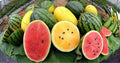 Crimson Watermelon Seeds - Red & Yellow Variety for Home Garden, Citrullus lanatus, Sweet & Juicy Fruit, Vining Plant, Seed Packet