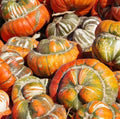 Heirloom Gourd Seeds - Turk's Turban Variety - Decorative Edible Gourds - Non-GMO Cucurbita maxima - 12 Seeds