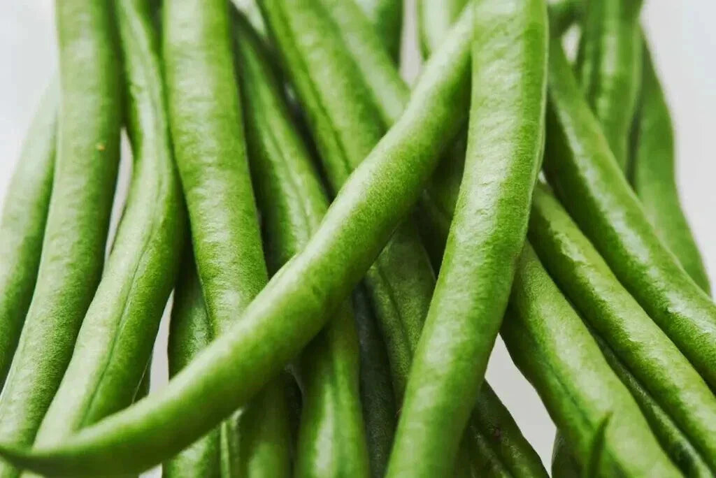 Kentucky Wonder Pole Bean Seeds - Heirloom Phaseolus vulgaris, Climbing Vine, 20 Seeds, Organic, Garden, Canning, Fresh Eating