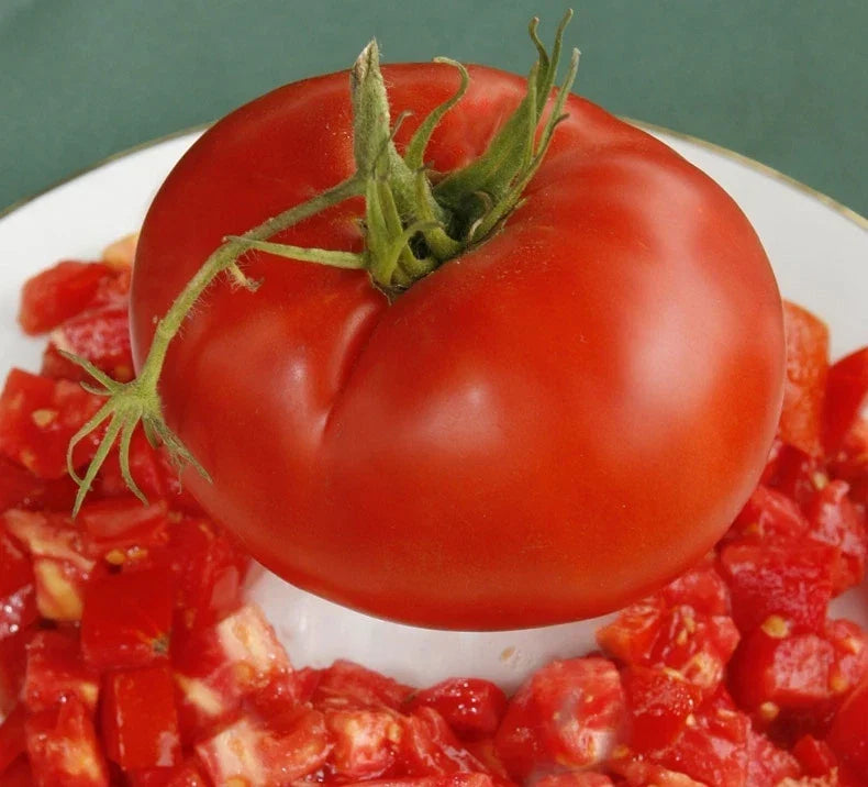 Bulk Tomato Seeds 300 Count - Giant Slicer Variety, Meaty, Solanum lycopersicum, Non-GMO, Full Sun, Juicy, Large Tomatoes