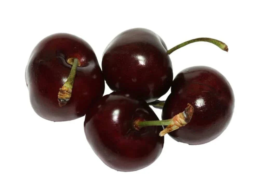 Bada Bing Cherry Seeds - Fruit Tree Pack of 10+ Prunus avium for Home Garden, Juicy, Sweet, Non-GMO, Fast Shipping