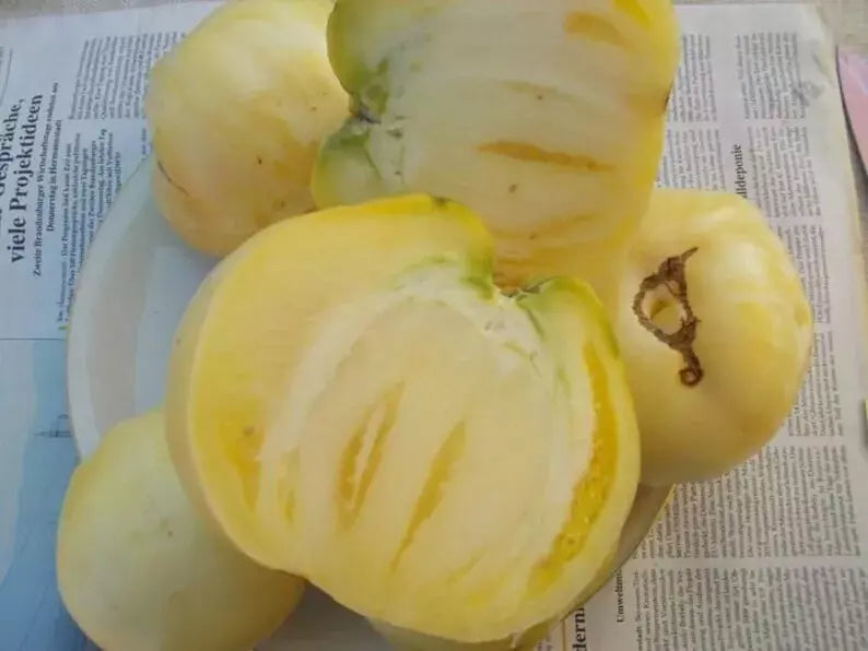 Great White Tomato Seeds - Organic Heirloom Beefsteak, Rare White Tomato, Solanum lycopersicum, 120+ Seeds