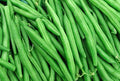 String Bean Seeds – Blue Lake Variety, Non-GMO Heirloom, Bush Growth, Phaseolus vulgaris, 50+ Seeds, Made in USA