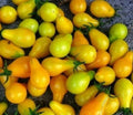 Yellow Plum Tomato Seeds - 100+ Non-GMO Solanum lycopersicum for Salad, Garden Vegetables, Container Growing