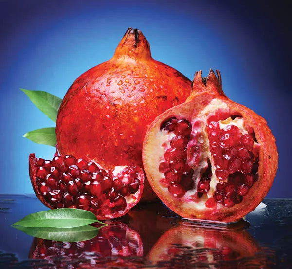 Pomegranate Tree Cuttings 5+3 Grafting Scions for Rooting Punica granatum Wonderful